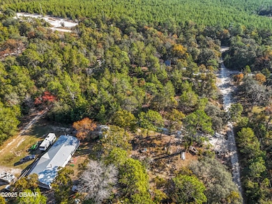 109 Lucas St, Satsuma, FL 32189 - photo 7