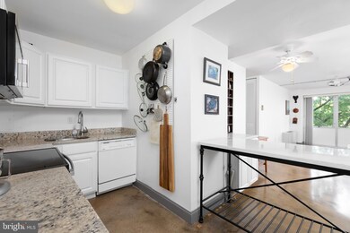 1311 Delaware Ave SW unit S237, Washington, DC 20024 - photo 5