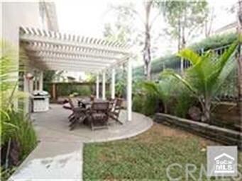 Nice grassy yard