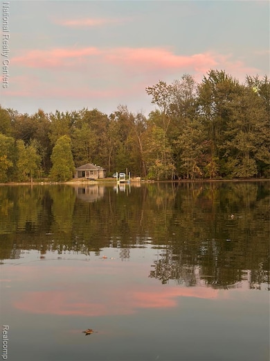 Water view with a forest