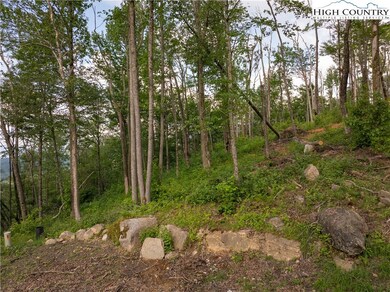 Lot T5 Timber Rock Trail, Banner Elk, NC 28604 - photo 4