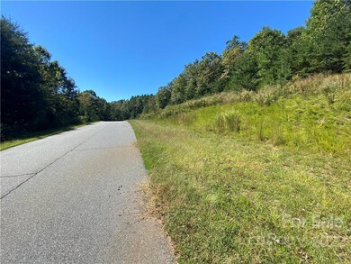 0 Hickory Loop Rd unit 23, Rutherfordton, NC 28139 - photo 2