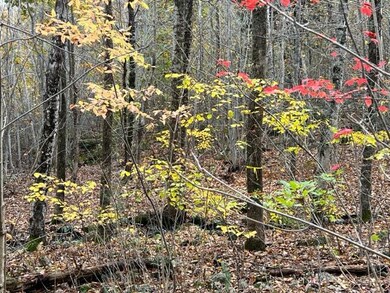 IMG_8139