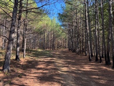 0 Walnut Grove Rd, Bolivar, TN 38008 - photo 6