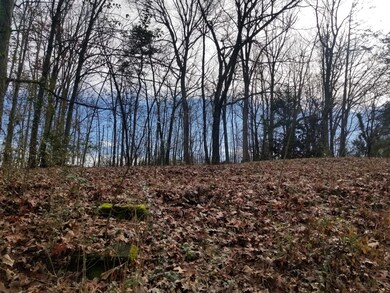 413 Hickory St, Rossville, GA 30741 - photo 5