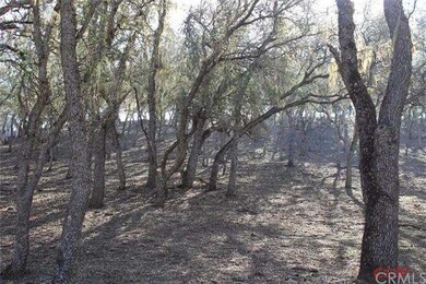 330 Penman Springs Rd, Paso Robles, CA 93446 - photo 3