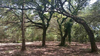 4290 Parlange Cir, Cantonment, FL 32533 - photo 3