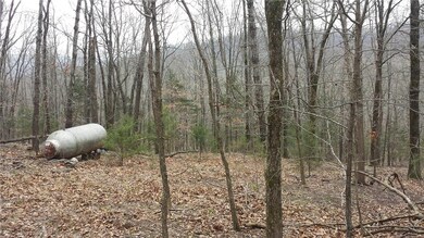 0 Madison 5520, Valley Township, AR 72727 - photo 4