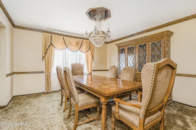 Photo Nov 14 2025, 11 15 21 AM