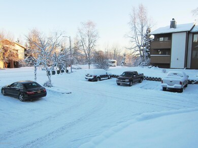 Lots of Parking for guests