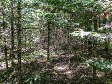 Lot 13 Sanctuary Rd, Tomahawk, WI 54487 - photo 3