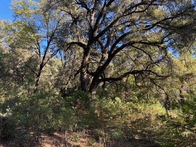 16272 State Route 26, Glencoe, CA 95232 - photo 6