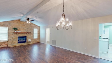 EagleViewDr-4