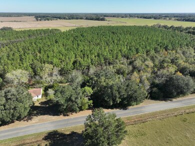 2716 Fryer Rd, Blakely, GA 39823 - photo 3