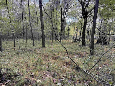 0 Bethuel Rd unit 17, Unincorporated, TN 38053 - photo 6