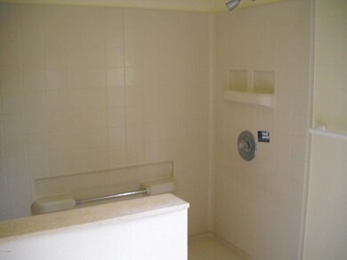 Master bath shower view