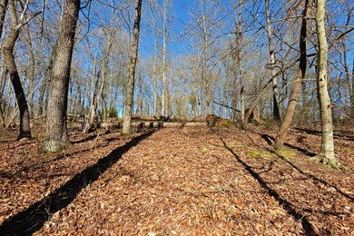 7900 Giorgio Cir, Ooltewah, TN 37363 - photo 7