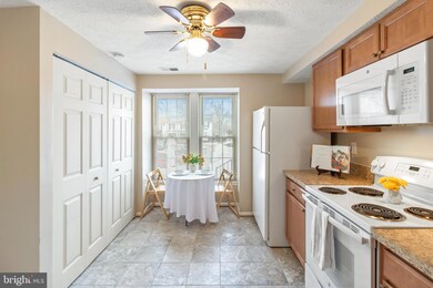 7524 Summer Blossom Ln, Columbia, MD 21046 - photo 2