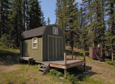 10223 Trail Creek Rd, Florissant, CO 80816 - photo 5