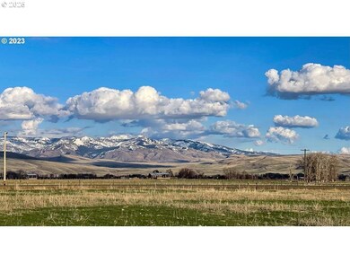 46198 Slaughterhouse Rd, Halfway, OR 97834 - photo 6