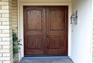 front door 2