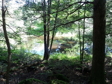 155 River Rd, Worthington, MA 01098 - photo 7