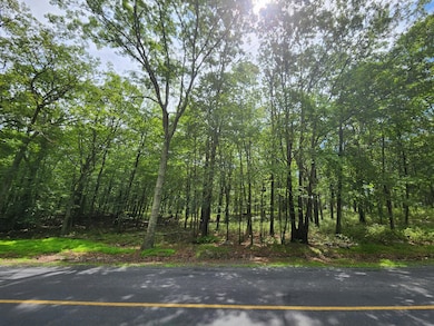 0 Mallard Ln unit PM-133763, Bushkill, PA 18324 - photo 2