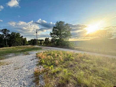 7958 Mc 6061, Flippin, AR 72634 - photo 6