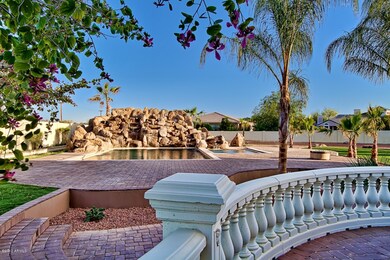 Backyard 1