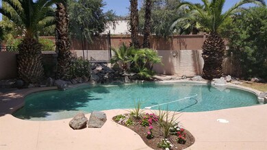 Backyard Pool Oasis