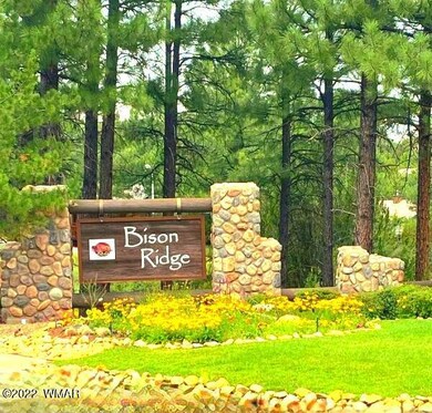 Bison Ridge
