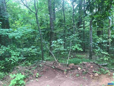 00 Crane Cir, Stanardsville, VA 22973 - photo 3