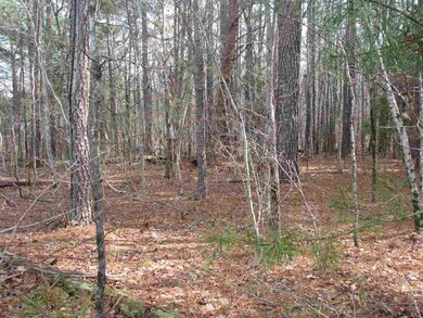 26 Vienna Rd, Gaffney, SC 29340 - photo 3