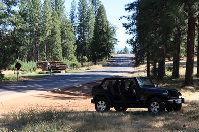 3435 Carson Ct, Camino, CA 95709 - photo 4