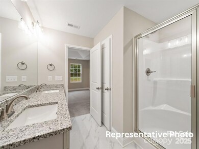 11585 Valley Oaks Ln unit 29, Stanfield, NC 28163 - photo 5