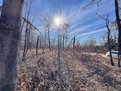 95001 S 4556 Rd, Vian, OK 74962 - photo 5