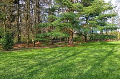 The rear yard is truly park-like.