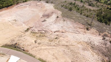 0 Lot 9 Lebleu Settlement unit 29-2024, Leesville, LA 71446 - photo 2