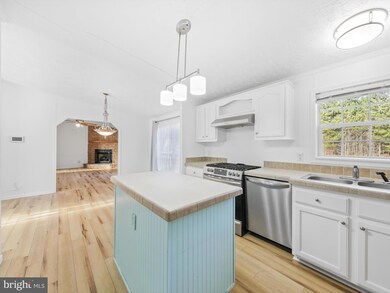 16445 Whitesville Rd, Delmar, DE 19940 - photo 7