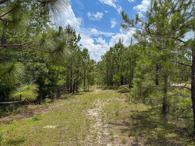 0 Beaver Dam Rd unit 25031385, Cassatt, SC 29032 - photo 5