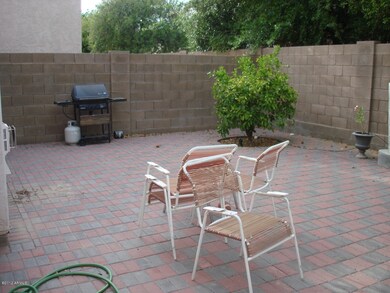 Backyard 1