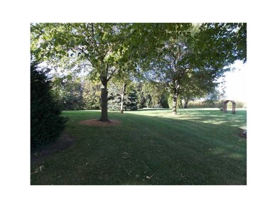 Yard/Garden.