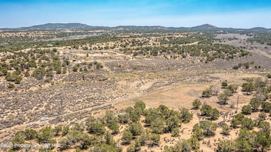 DJI_0565