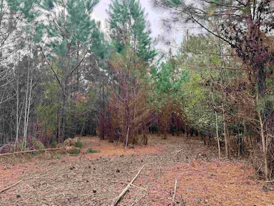 Lot 1 - TBD New Pine Rd, Johnsonville, SC 29555 - photo 6