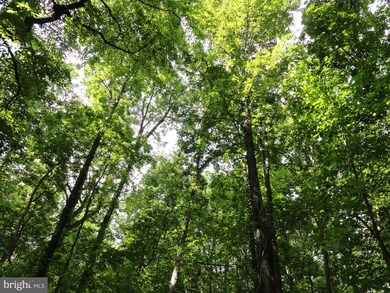 0 Purcellville Rd unit VALO415100, Purcellville, VA 20132 - photo 4