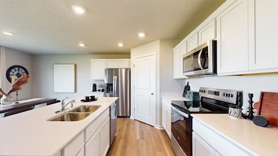 2709 Prairielight Dr, Cedar Rapids, IA 52411 - photo 7