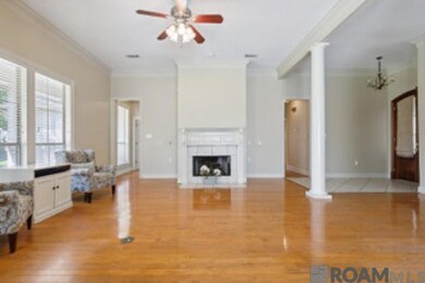 12439 Old Mill Dr, Geismar, LA 70734 - photo 5
