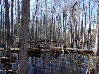 000 Windy Lewis Rd, Bonifay, FL 32425 - photo 6