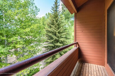 1232 Vine St unit 1232, Aspen, CO 81611 - photo 4