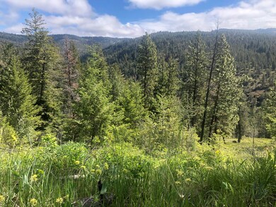 0 Hwy 26 unit 220148254, Mount Vernon, OR 97865 - photo 5